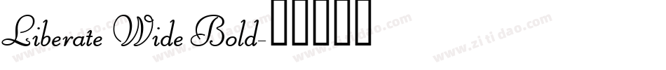 Liberate Wide Bold字体转换